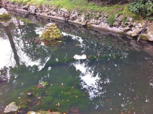 Pratogiardino