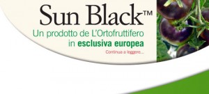 Il Sun Black