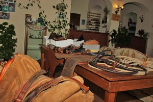 Villa Ione al Game fair