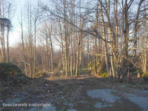 La situazione della Faggeta nella zona di Sasso Naticarello
