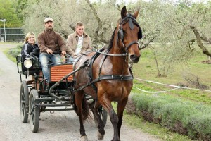 Villa Ione al Game fair