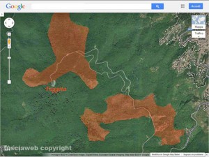 La Faggeta vista dall'alto con i punti senza il verde sempre più ampi