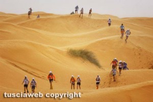 100 km nel Sahara - Un momento della gara