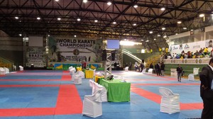 Mondiali di Karate in Brasile