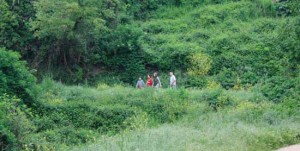 Walk in Tuscia a Celleno