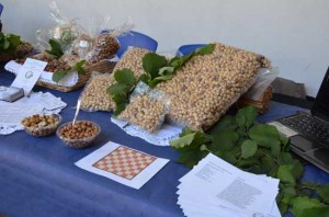 Le nocciole