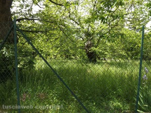DSCF1571