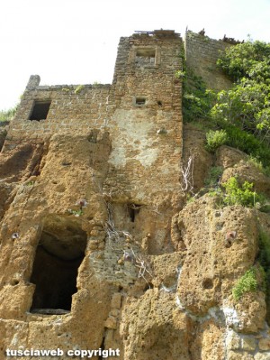Parete con strutture - Lato sud Casalini - Vejano