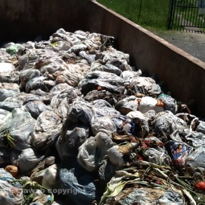 Rifiuti organici a Carbognano