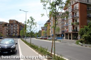 Viterbo - Via Genova
