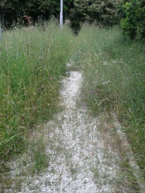 Il parco in strada Cimina