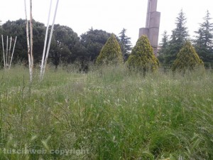 Il parco in strada Cimina