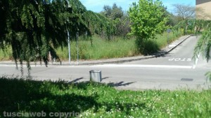 Viterbo - Il parco dell'Ellera