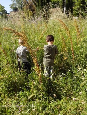 Erba ad altezza bimbo ai giardini di via Mantova