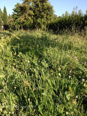 I giardini di via Mantova