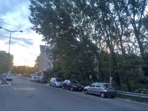 I pioppi in via Genova 