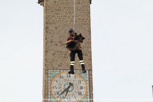Il pastore tedesco Orso con il vigile