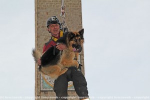 Il pastore tedesco Orso con il vigile
