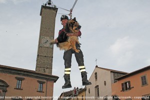Il pastore tedesco Orso con il vigile