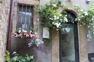 La festa dei fiori a Farnese