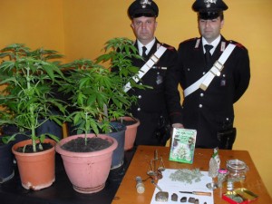 La droga sequestrata dai carabinieri di Bagnoregio