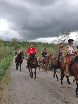Passeggia tra gli olivi vetrallesi