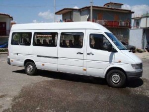 Il pulmino del trasporto facile