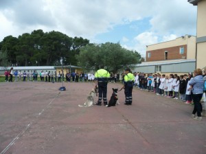 Il progetto "Alunni a quattro zampe"