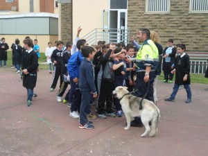 Il progetto "Alunni a quattro zampe"