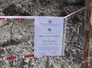 La Forestale sequestra un bosco a Graffignano