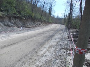 La Forestale sequestra un bosco a Graffignano