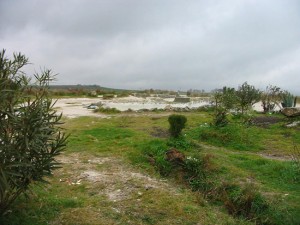 Il Bagnaccio