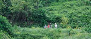Walk in Tuscia a Celleno