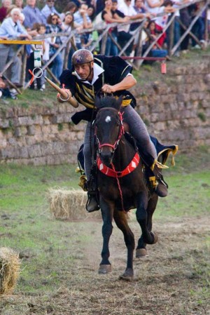 L'associazione Civita cavalli