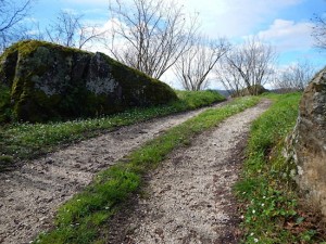 I paesaggi della Tuscia