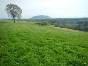 I paesaggi della Tuscia