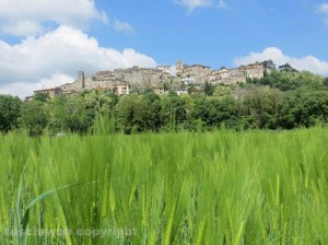 Castiglione in Teverina