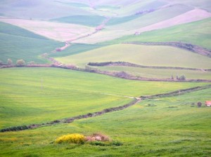 Montefiascone città del 100esimo km sulle vie dei pellegrinaggi