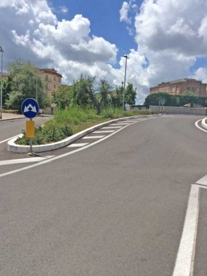 Viterbo invasa dalle erbacce