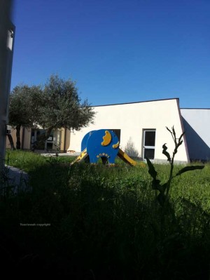 La scuola dell'infanzia a Tobia tra le erbacce 