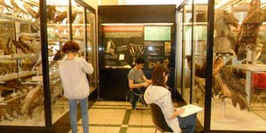 I ragazzi del Midossi 