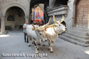 La processione del santissimo Salvatore