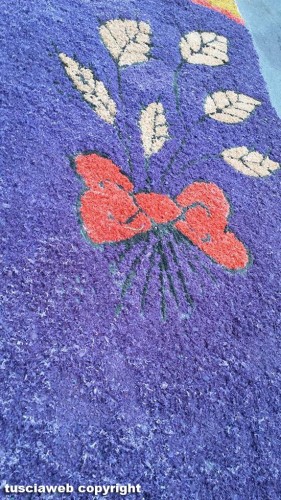 L'infiorata di Capodimonte