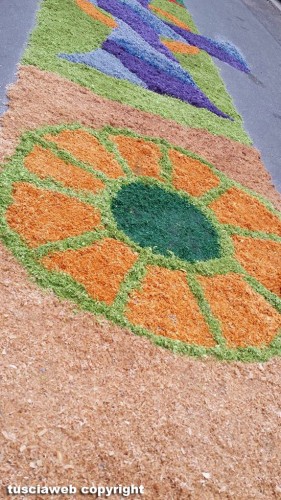 L'infiorata di Capodimonte