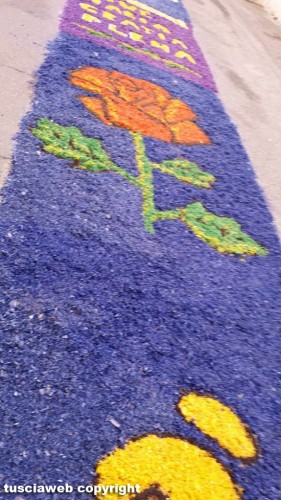 L'infiorata di Capodimonte