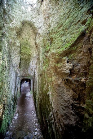 La necropoli di Castel D'Asso
