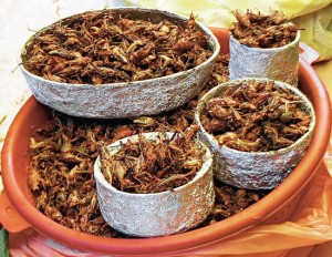 Chapulines, piatto messicano a base di cavallette