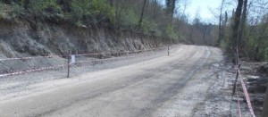 La Forestale sequestra un bosco a Graffignano