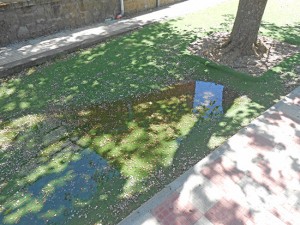 Le condizioni in cui versa il giardino della scuola materna Pilastro