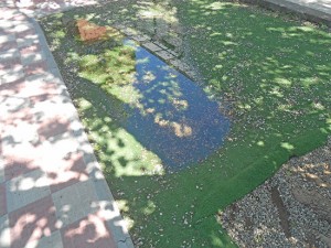 Il giardino della scuola materna Pilastro